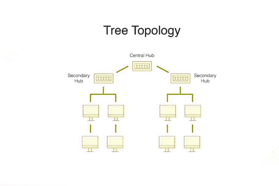 tree topology computer networking