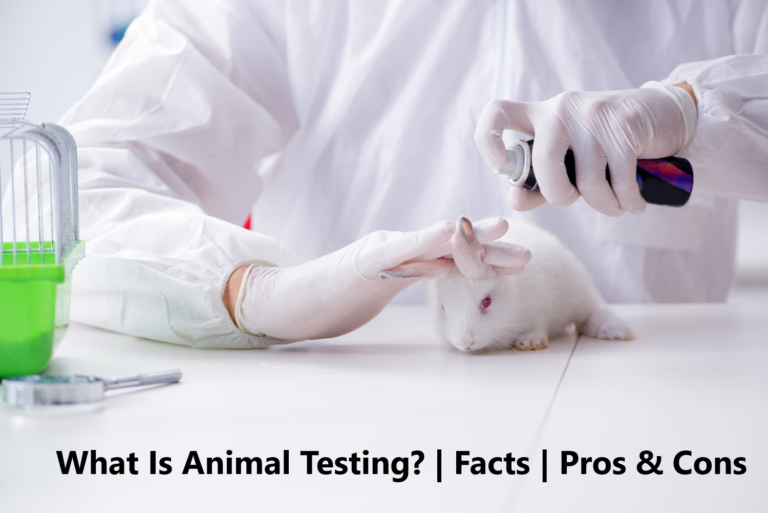 What is Animal Testing Facts Pros & Cons Propatel