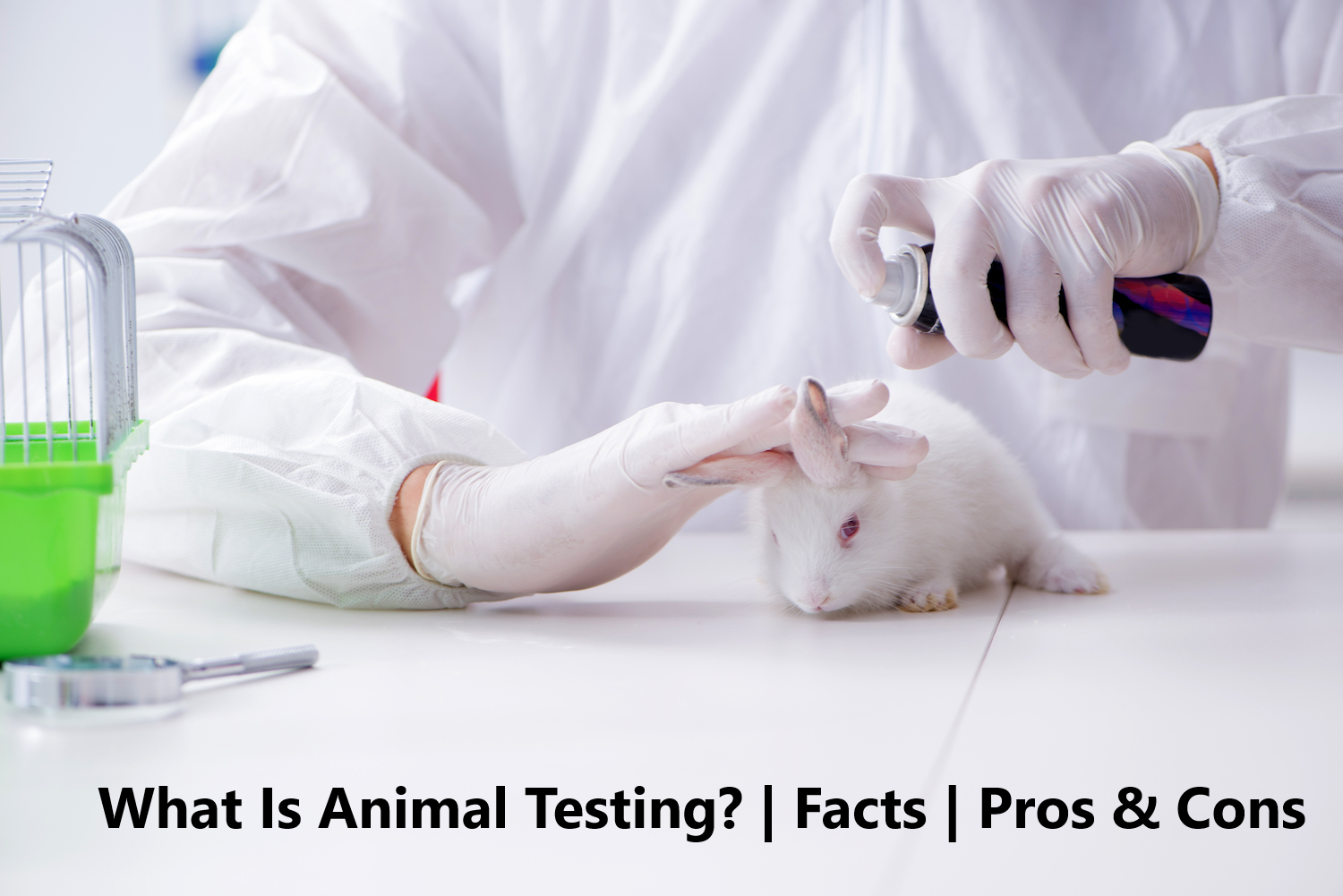 What is Animal Testing - Facts, Pros & Cons - Propatel